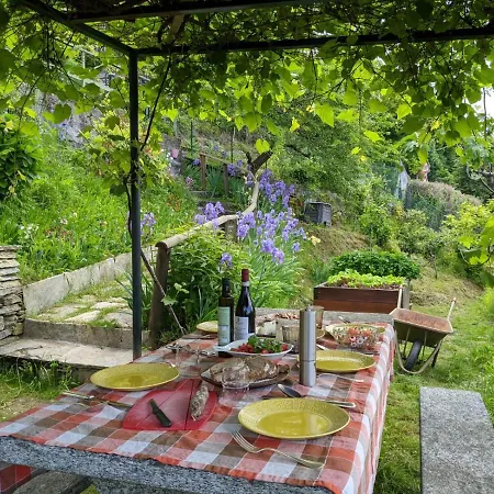 Ratto Del Gallo Stresa